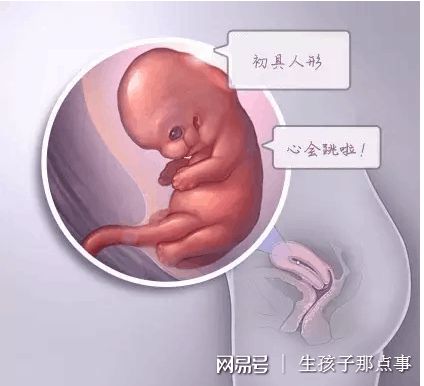 陈鎏主任